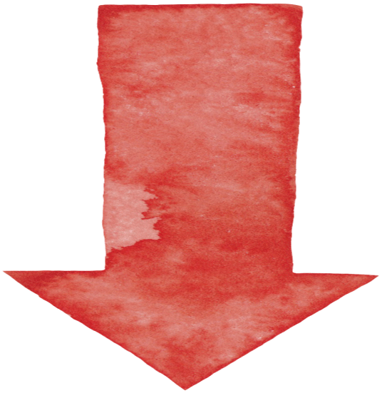 動物グッズ|アニマルグッズ|動物雑貨|イベント|大阪|関西|ハンドメイド|即売会|フェス|もふフェス|もふふぇす|モフフェス|動物好きによる、動物好きの為のフェスティバル『もふフェス』|京セラドーム|大阪ドーム|ニャンズマーケット|猫グッズ