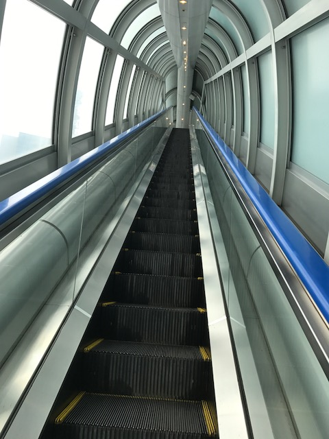 動物グッズ|アニマルグッズ|動物雑貨|イベント|大阪|関西|ハンドメイド|即売会|フェス|もふフェス|もふふぇす|モフフェス|動物好きによる、動物好きの為のフェスティバル『もふフェス』|京セラドーム|大阪ドーム|ニャンズマーケット|猫グッズ