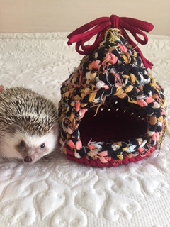 動物グッズ|アニマルグッズ|動物雑貨|イベント|大阪|関西|ハンドメイド|即売会|フェス|もふフェス|もふふぇす|モフフェス|動物好きによる、動物好きの為のフェスティバル『もふフェス』|京セラドーム|大阪ドーム|ニャンズマーケット|猫グッズ