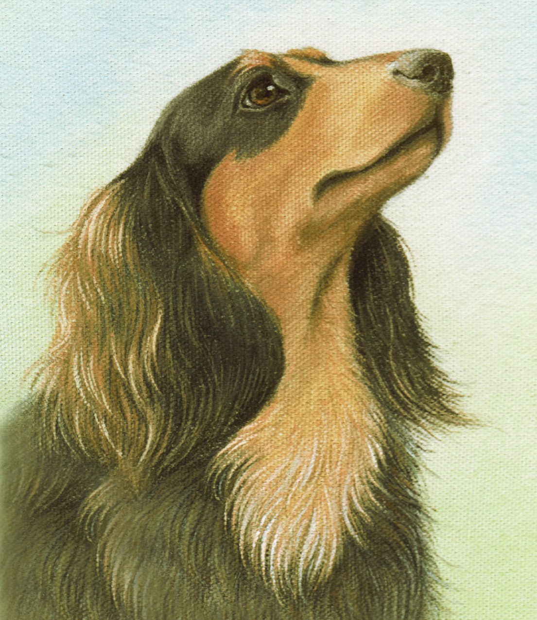 動物グッズ|アニマルグッズ|動物雑貨|イベント|大阪|関西|ハンドメイド|即売会|フェス|もふフェス|もふふぇす|モフフェス|動物好きによる、動物好きの為のフェスティバル『もふフェス』|京セラドーム|大阪ドーム|ニャンズマーケット|猫グッズ