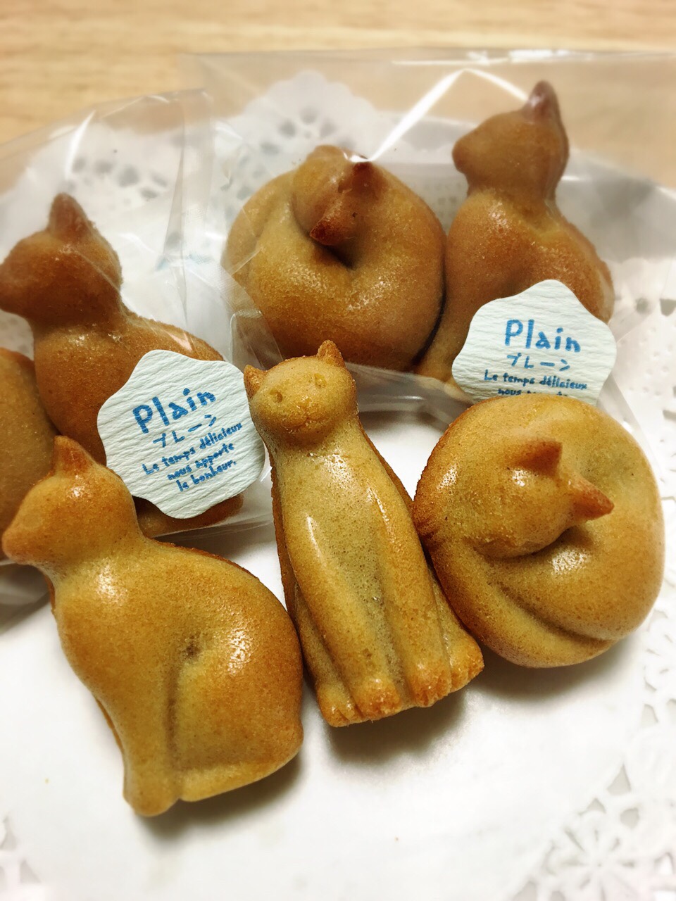 動物グッズ|アニマルグッズ|動物雑貨|イベント|大阪|関西|ハンドメイド|即売会|フェス|もふフェス|もふふぇす|モフフェス|動物好きによる、動物好きの為のフェスティバル『もふフェス』|京セラドーム|大阪ドーム|ニャンズマーケット|猫グッズ