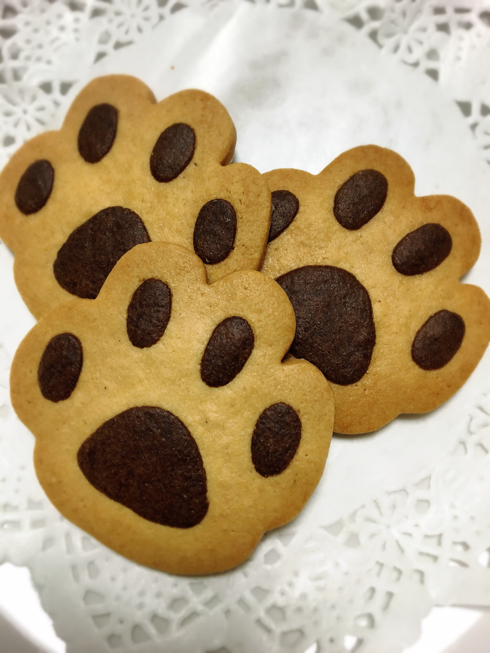 動物グッズ|アニマルグッズ|動物雑貨|イベント|大阪|関西|ハンドメイド|即売会|フェス|もふフェス|もふふぇす|モフフェス|動物好きによる、動物好きの為のフェスティバル『もふフェス』|京セラドーム|大阪ドーム|ニャンズマーケット|猫グッズ