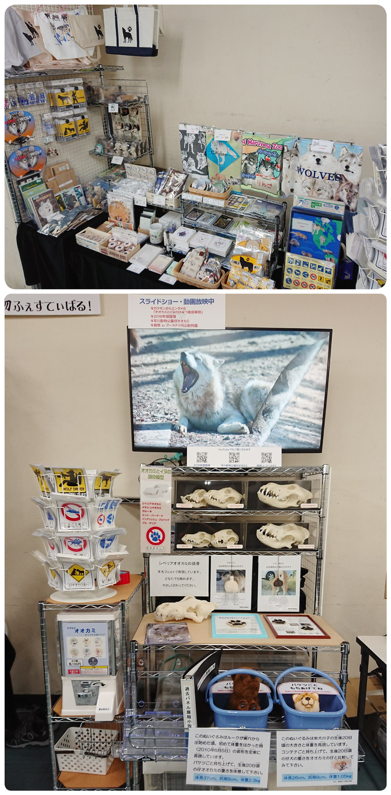 動物グッズ|アニマルグッズ|動物雑貨|イベント|大阪|関西|ハンドメイド|即売会|フェス|もふフェス|もふふぇす|モフフェス|動物好きによる、動物好きの為のフェスティバル『もふフェス』|京セラドーム|大阪ドーム|ニャンズマーケット|猫グッズ