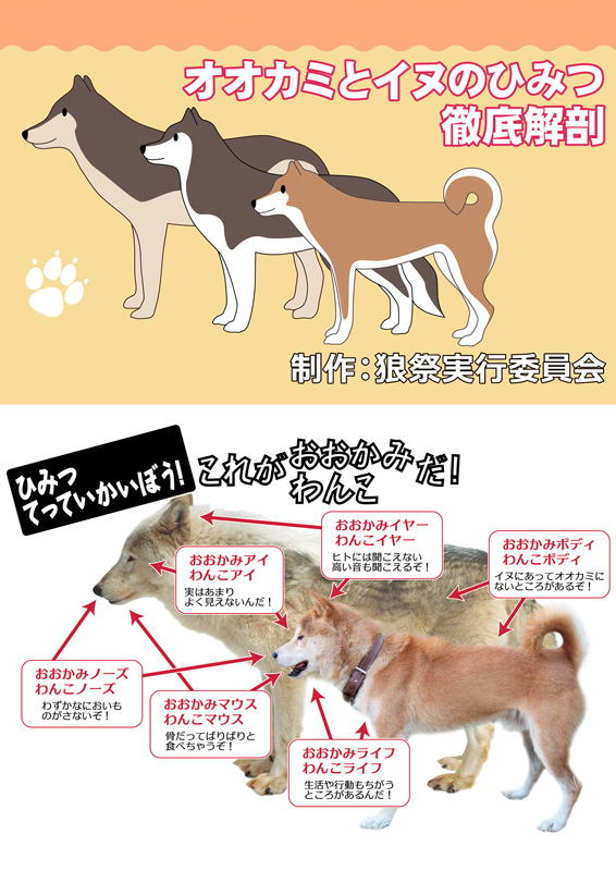 動物グッズ|アニマルグッズ|動物雑貨|イベント|大阪|関西|ハンドメイド|即売会|フェス|もふフェス|もふふぇす|モフフェス|動物好きによる、動物好きの為のフェスティバル『もふフェス』|京セラドーム|大阪ドーム|ニャンズマーケット|猫グッズ