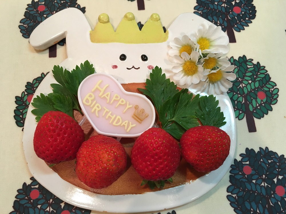 動物グッズ|アニマルグッズ|動物雑貨|イベント|大阪|関西|ハンドメイド|即売会|フェス|もふフェス|もふふぇす|モフフェス|動物好きによる、動物好きの為のフェスティバル『もふフェス』|京セラドーム|大阪ドーム|ニャンズマーケット|猫グッズ