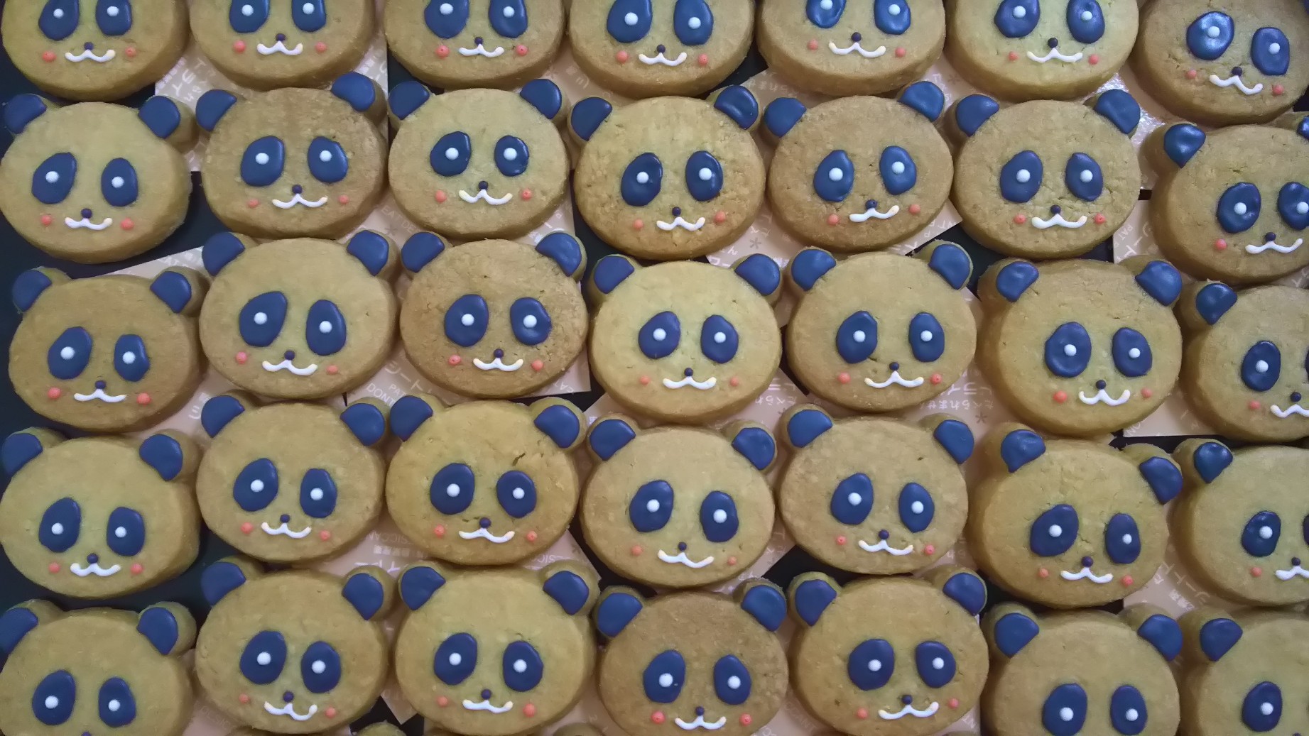 動物グッズ|アニマルグッズ|動物雑貨|イベント|大阪|関西|ハンドメイド|即売会|フェス|もふフェス|もふふぇす|モフフェス|動物好きによる、動物好きの為のフェスティバル『もふフェス』|京セラドーム|大阪ドーム|ニャンズマーケット|猫グッズ