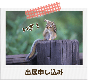 動物グッズ|アニマルグッズ|動物雑貨|イベント|大阪|関西|ハンドメイド|即売会|フェス|もふフェス|もふふぇす|モフフェス|動物好きによる、動物好きの為のフェスティバル『もふフェス』|京セラドーム|大阪ドーム|ニャンズマーケット|猫グッズ