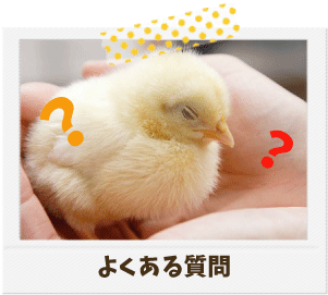 動物グッズ|アニマルグッズ|動物雑貨|イベント|大阪|関西|ハンドメイド|即売会|フェス|もふフェス|もふふぇす|モフフェス|動物好きによる、動物好きの為のフェスティバル『もふフェス』|京セラドーム|大阪ドーム|ニャンズマーケット|猫グッズ