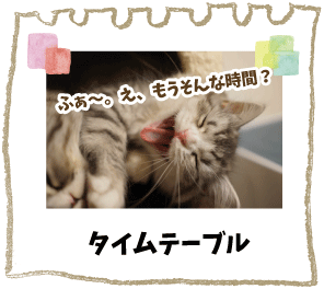 動物グッズ|アニマルグッズ|動物雑貨|イベント|大阪|関西|ハンドメイド|即売会|フェス|もふフェス|もふふぇす|モフフェス|動物好きによる、動物好きの為のフェスティバル『もふフェス』|京セラドーム|大阪ドーム|ニャンズマーケット|猫グッズ